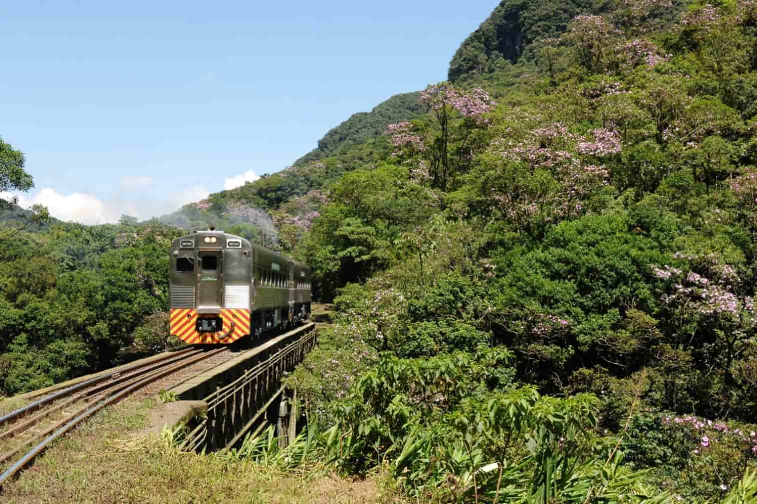 Trem Serra Mar Paranaense