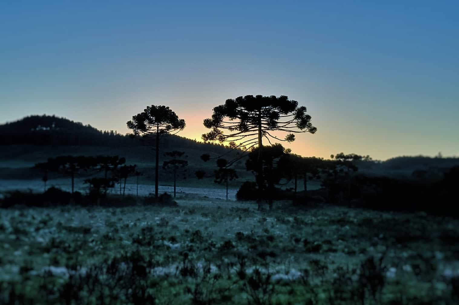 São Joaquim Florianópolis