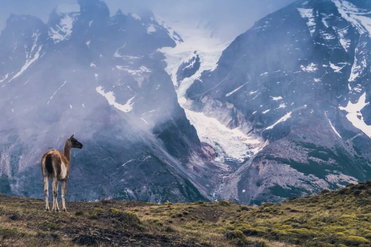 Torres del Paine 
