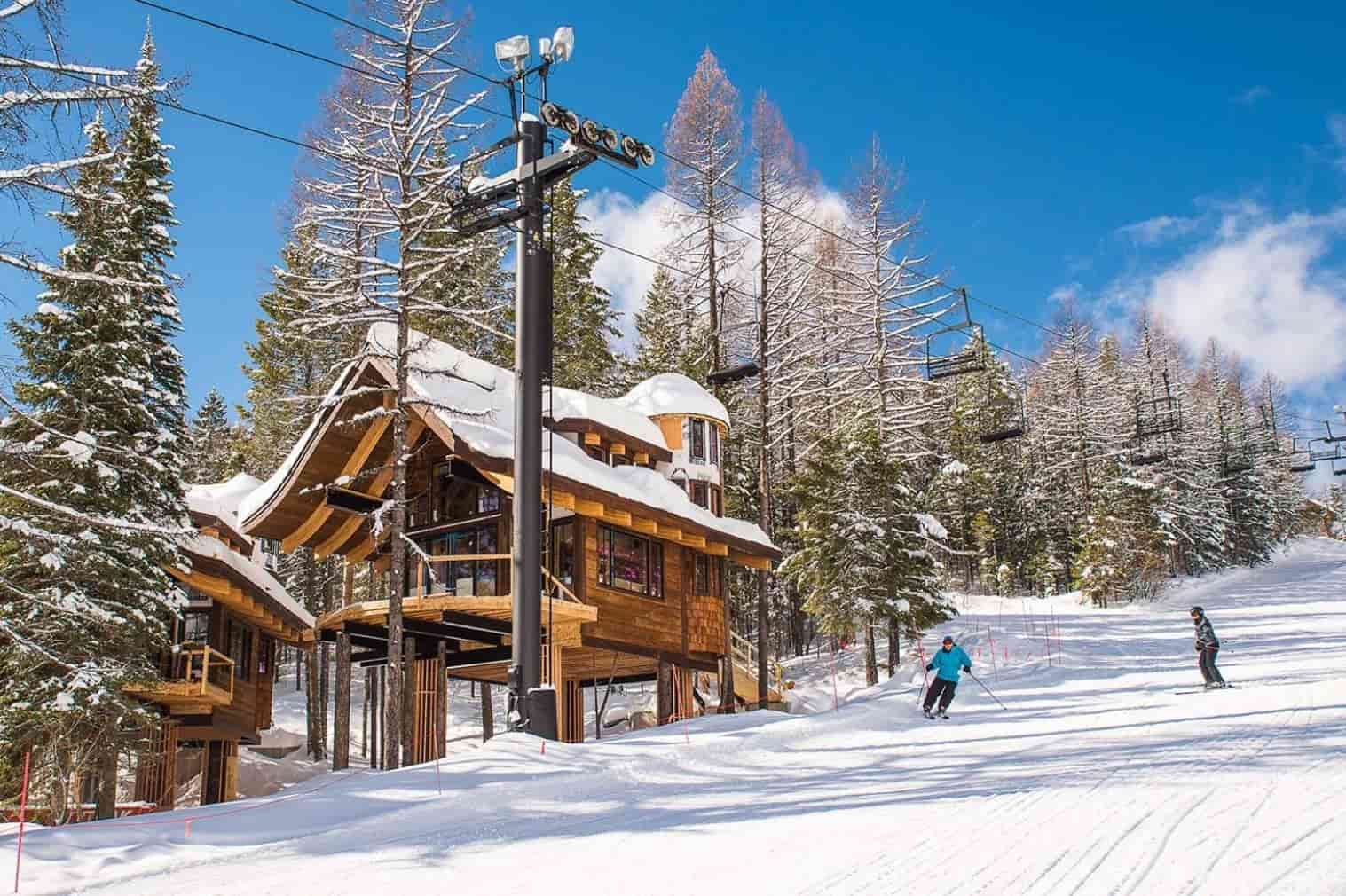 Whitefish