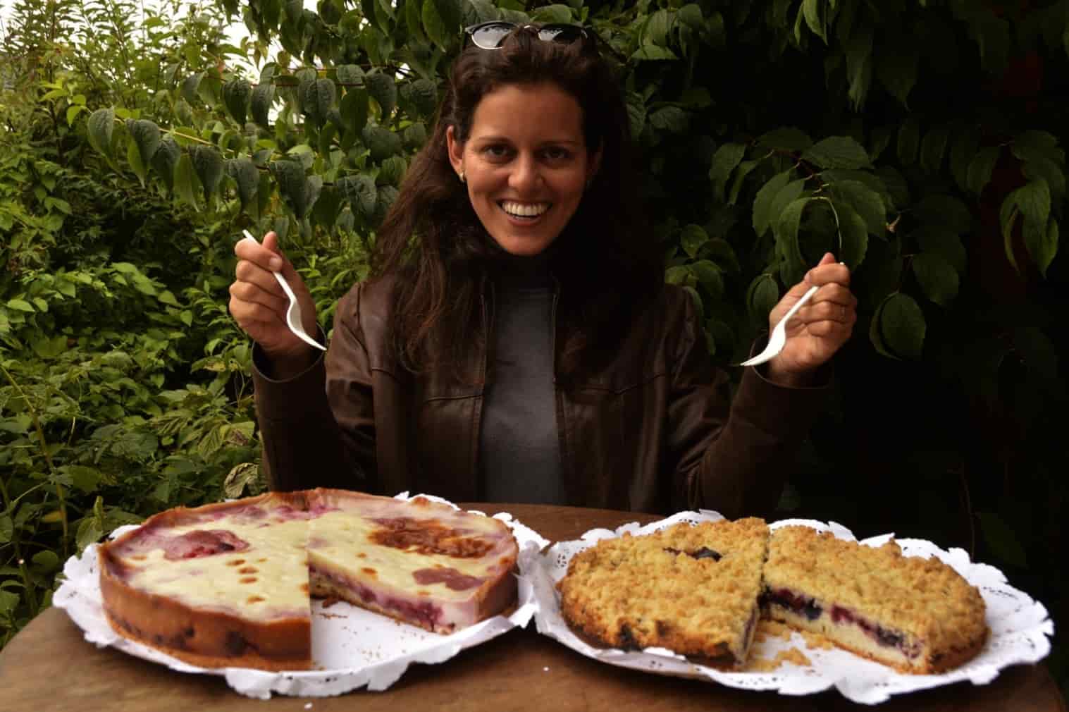 Kuchen Vulcões Chilenos