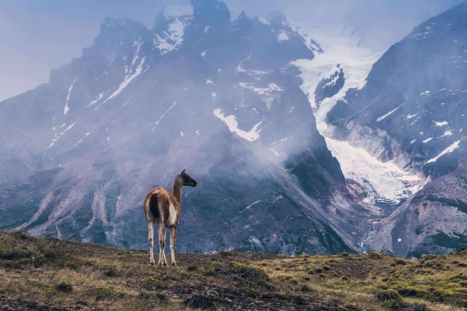 Torres del Paine Chile