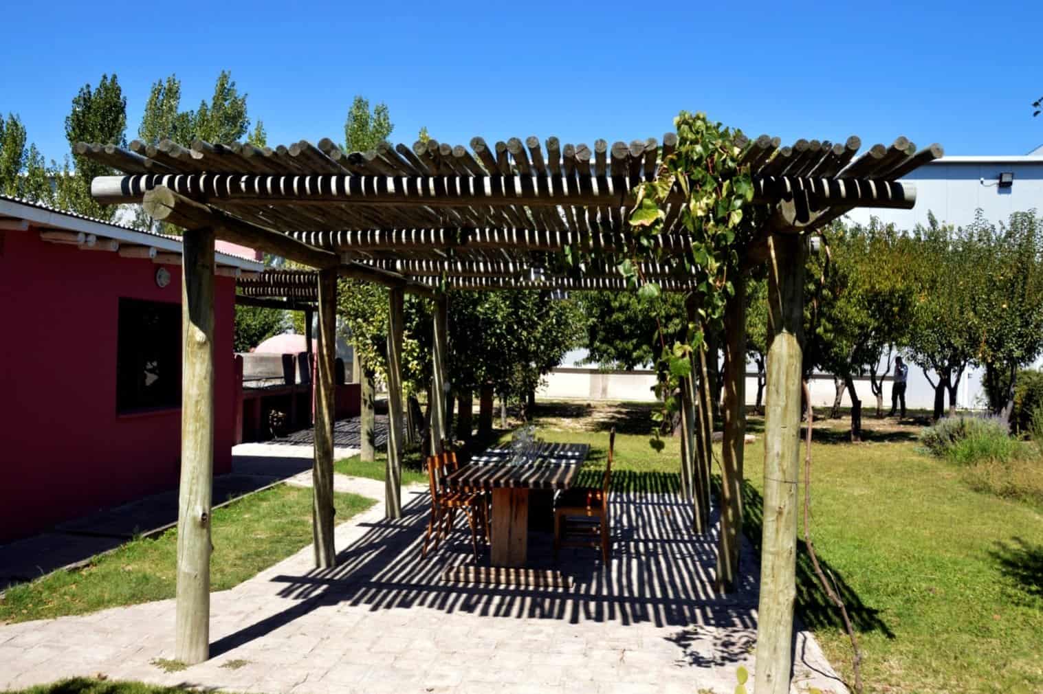 Ojo de Vino Mendoza