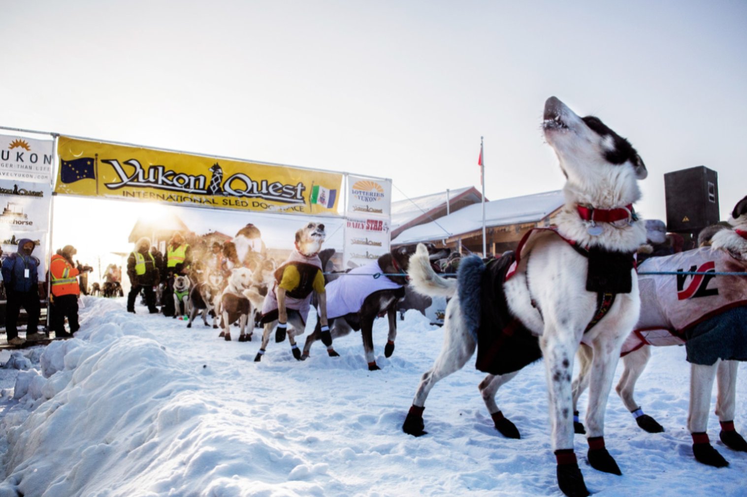 Yukon Quest