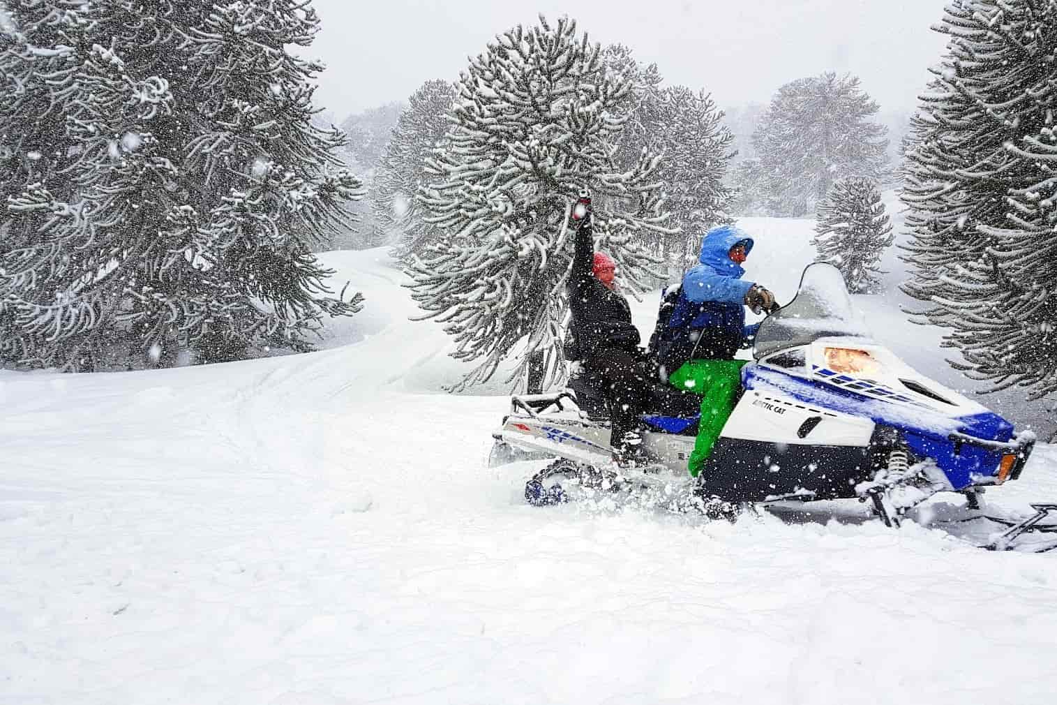Snowmobile Pehuenia