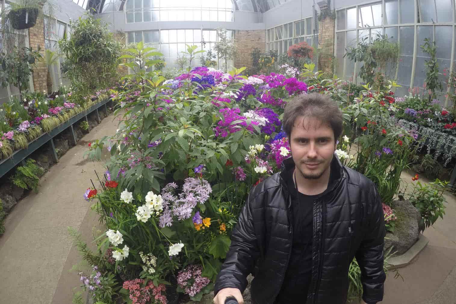 Auckland Winter Garden 