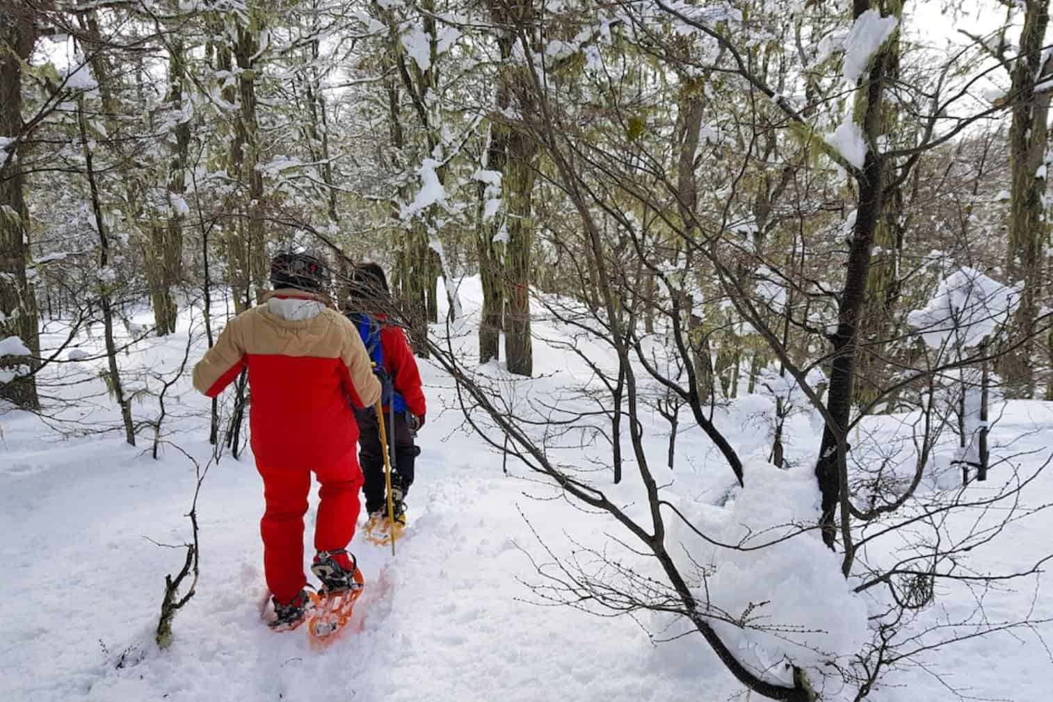 Cerro Chapelco Raquetes de Neve 
