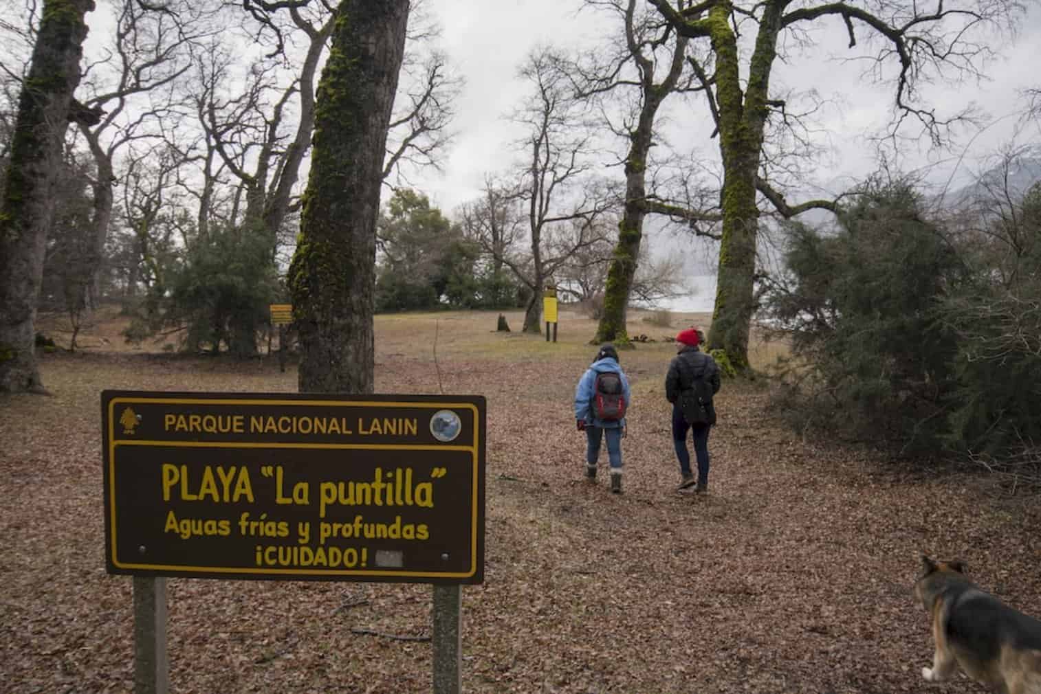 Quila Quina O que Usar