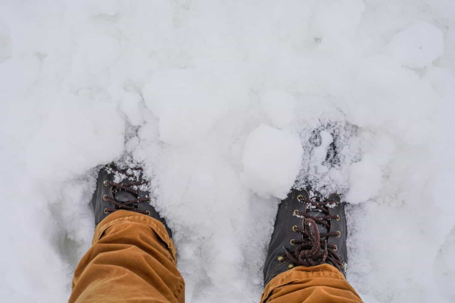 Bota Serra da Estrela 