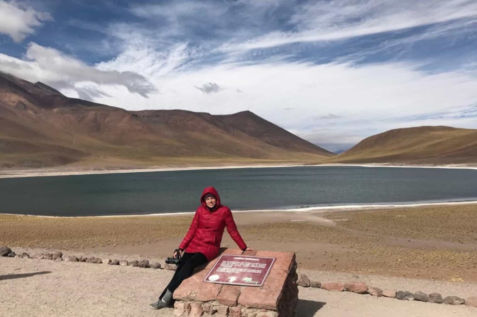 Atacama Laguna Miniques 