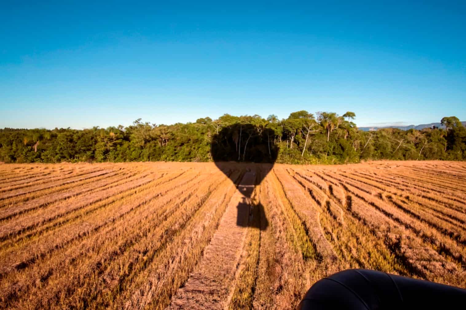 Balão Vento 