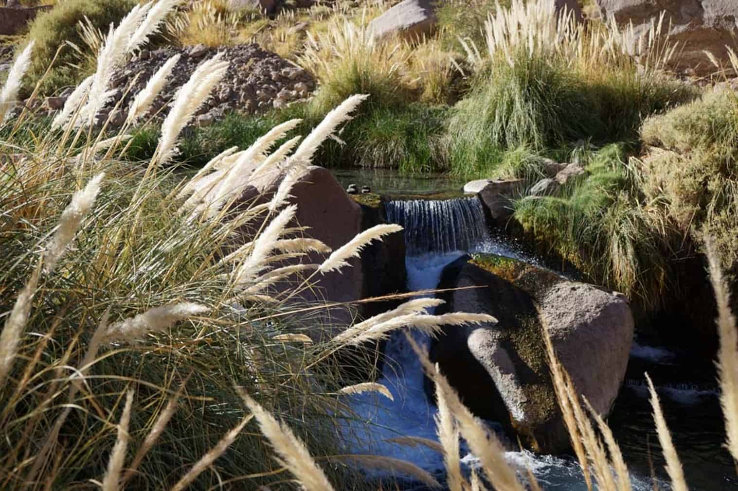 Termas Atacama 