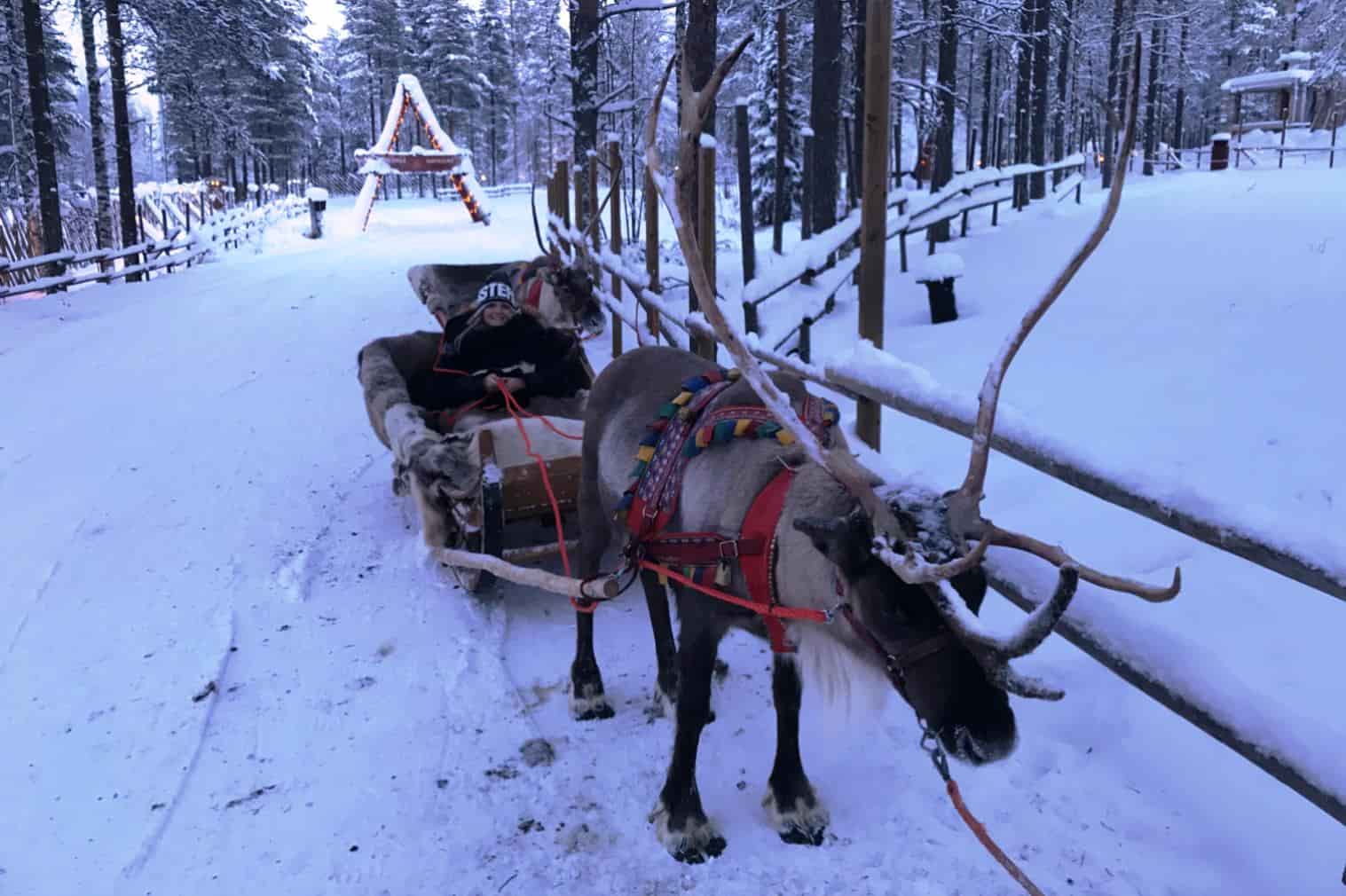Rovaniemi Rena