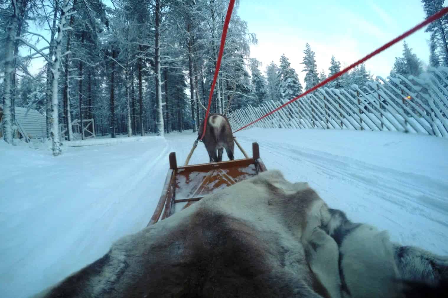 Rovaniemi Trenó