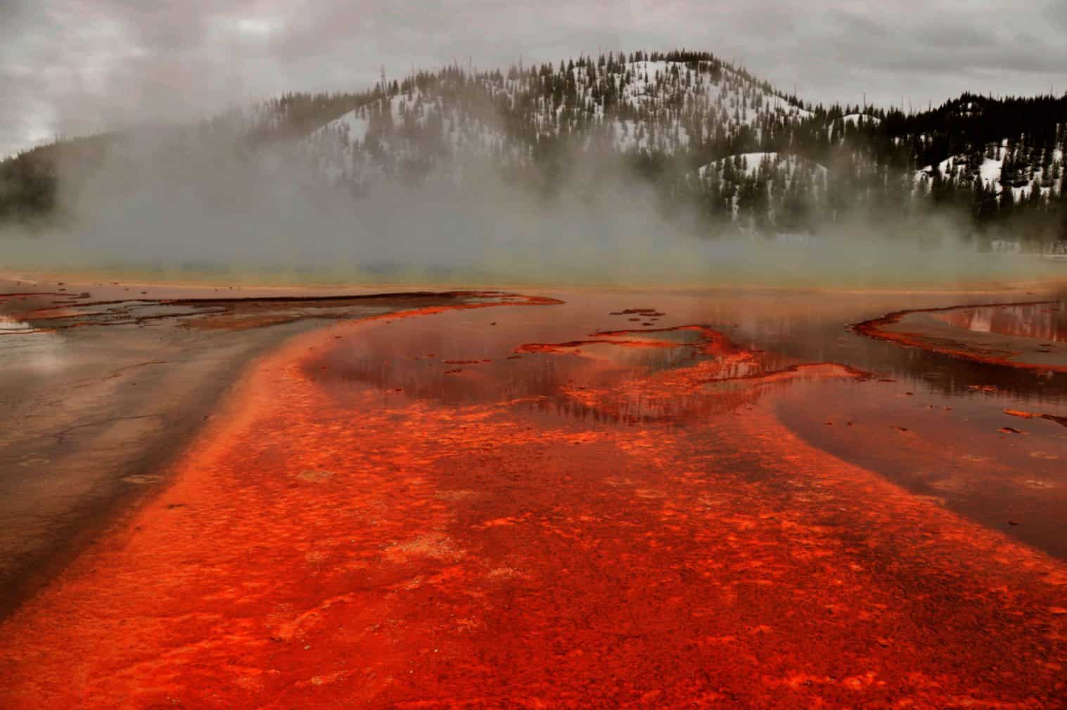 Yellowstone Natureza