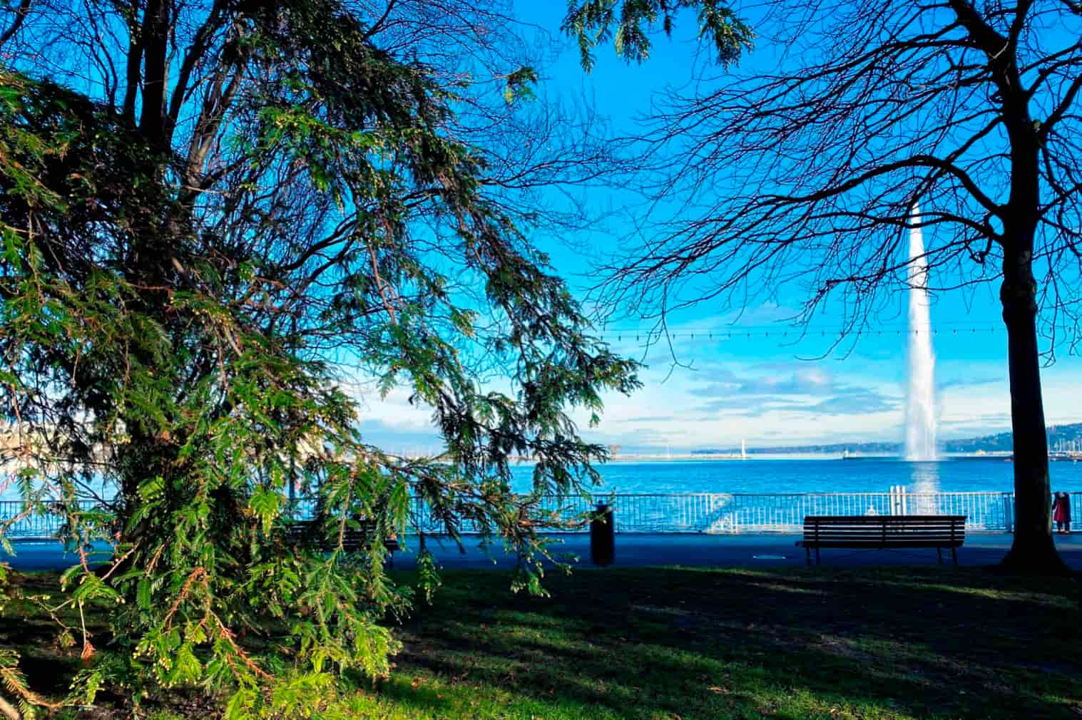 Jardim Inglês Promenade Genebra 