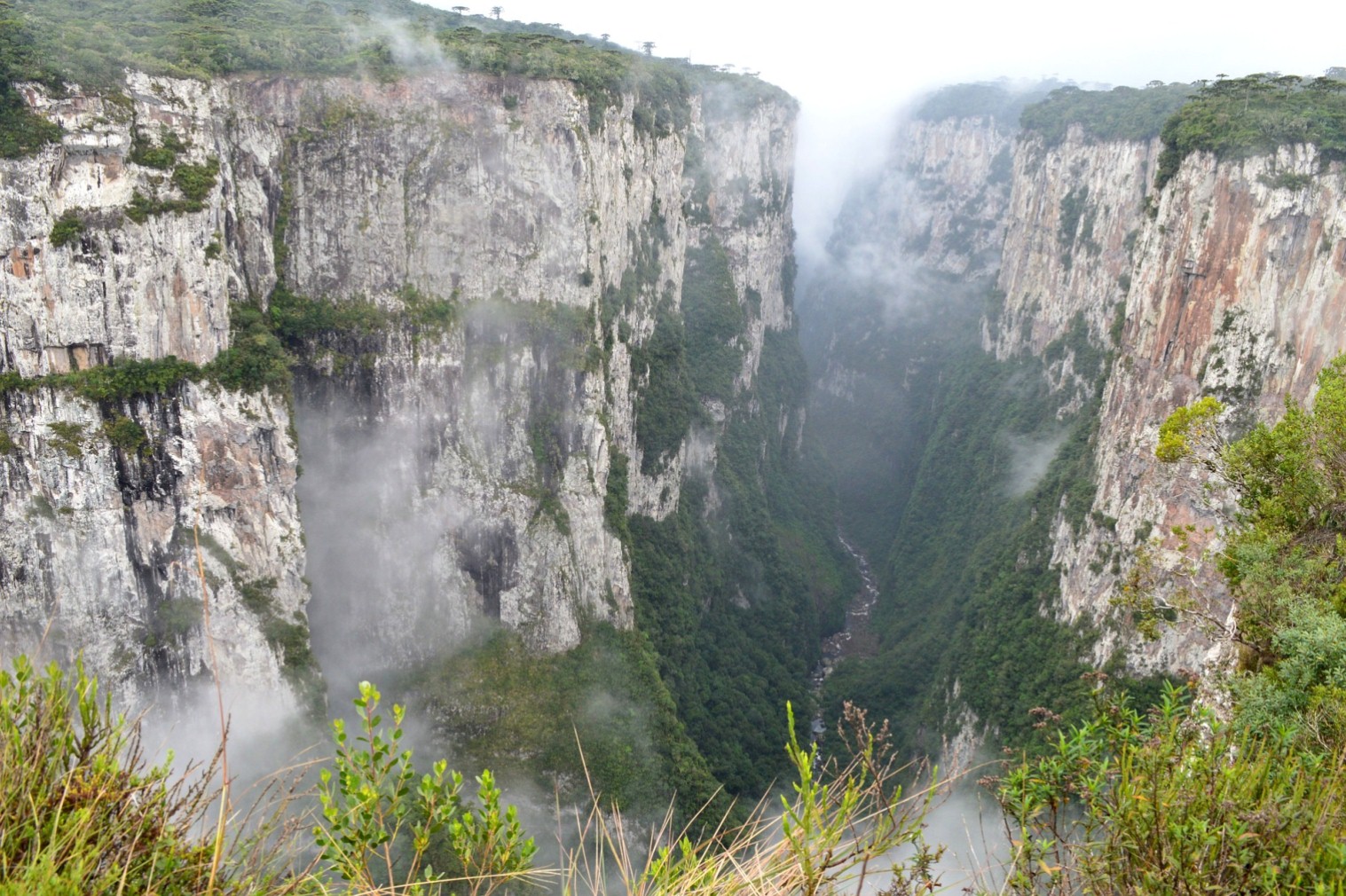 Cambará do Sul 