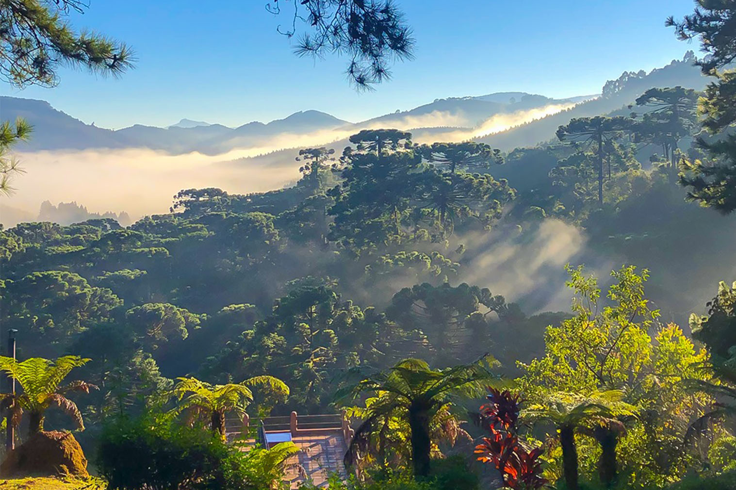 Monte Verde Minas Gerais