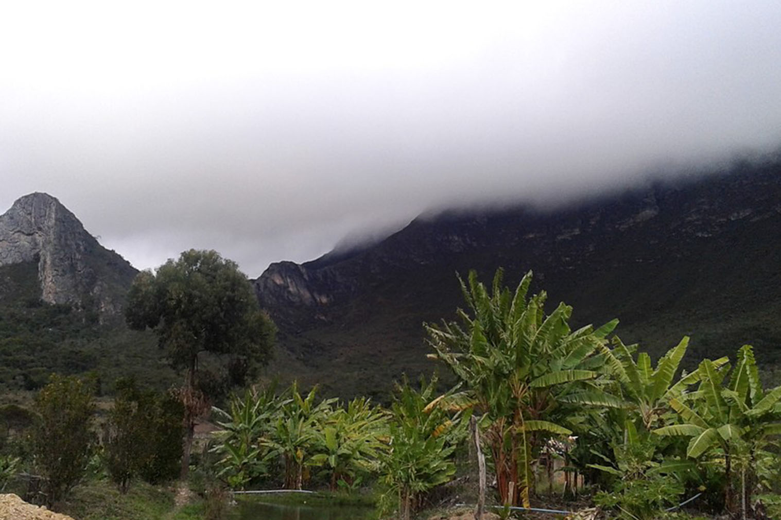 Morro Piatã Bahia