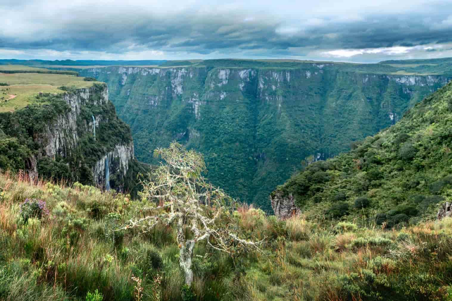 Aparados da Serra