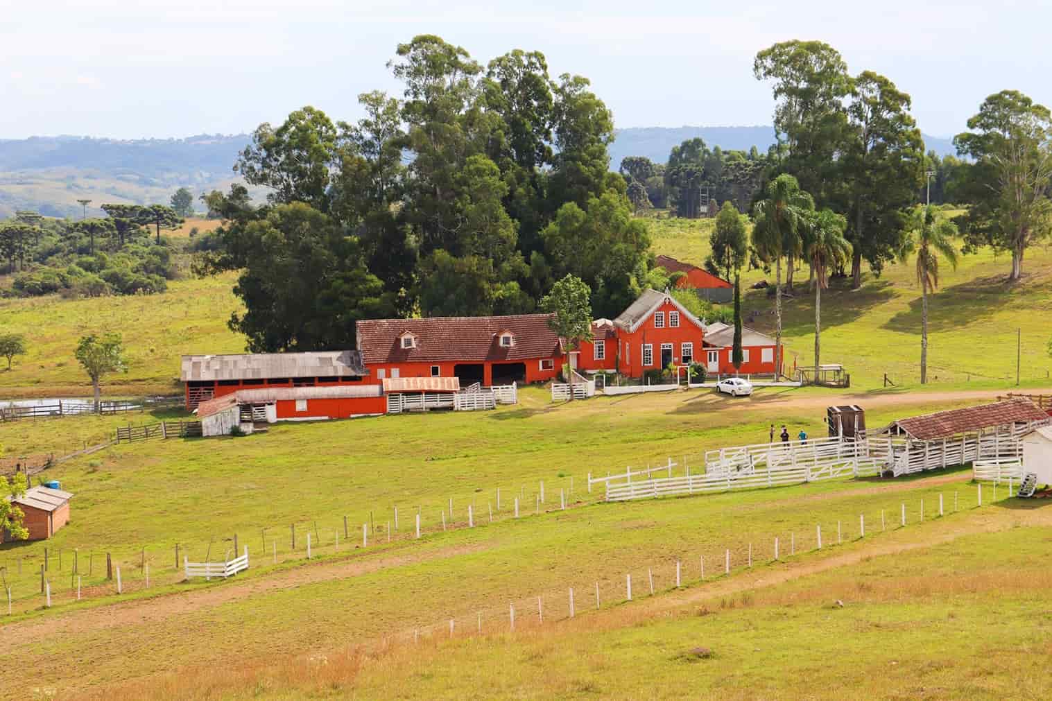 Caxias do Sul Inverno