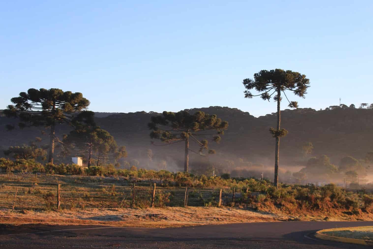 Frio em São Joaquim