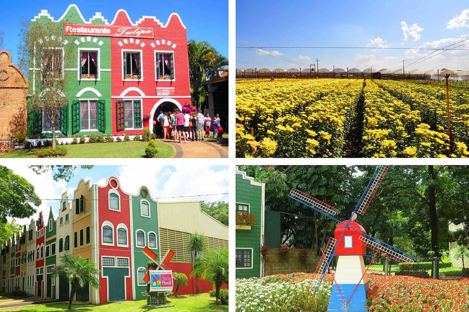 Holambra a Holanda no Brasil