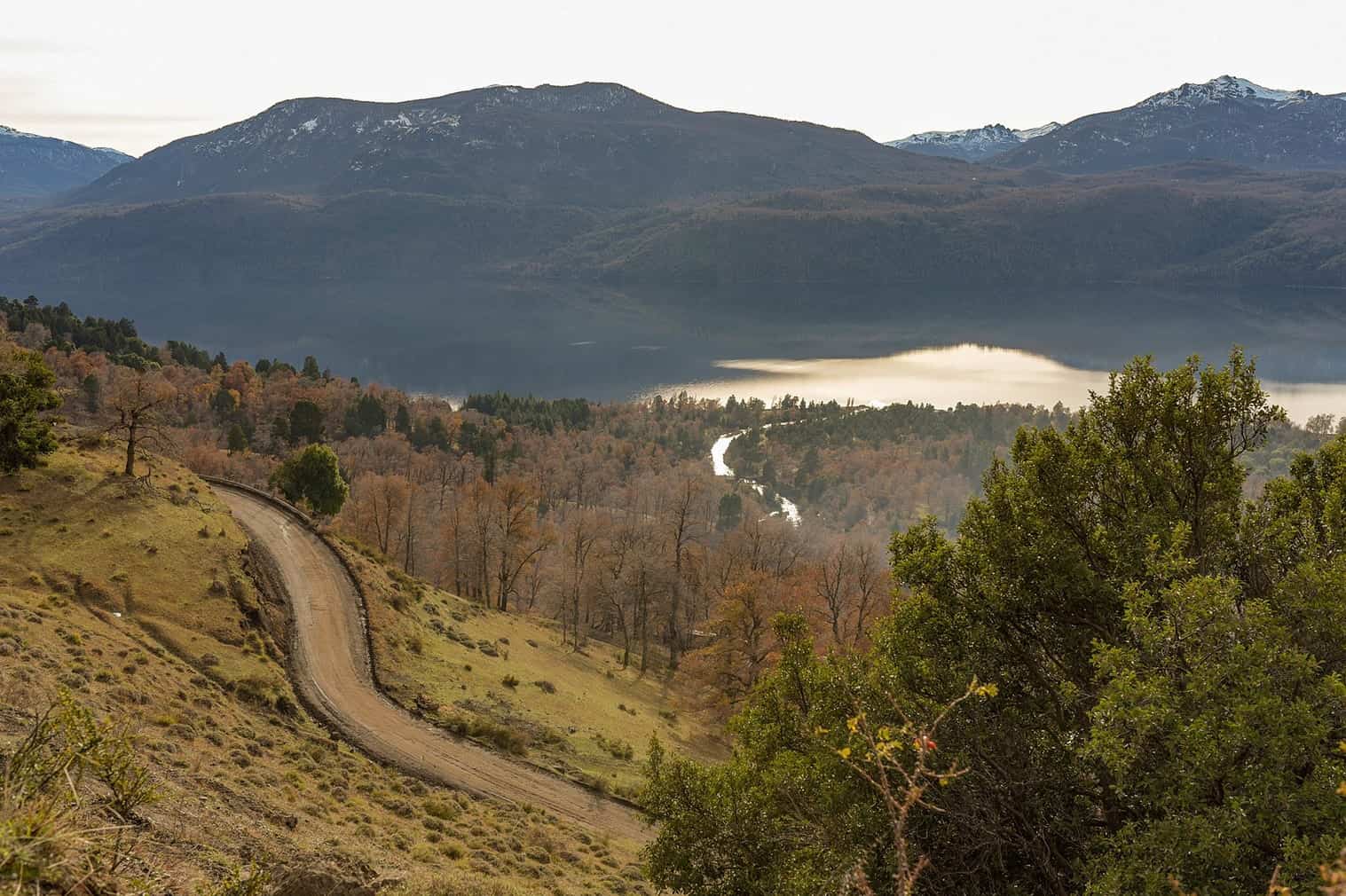 Quila Quina San Martín de Los Andes
