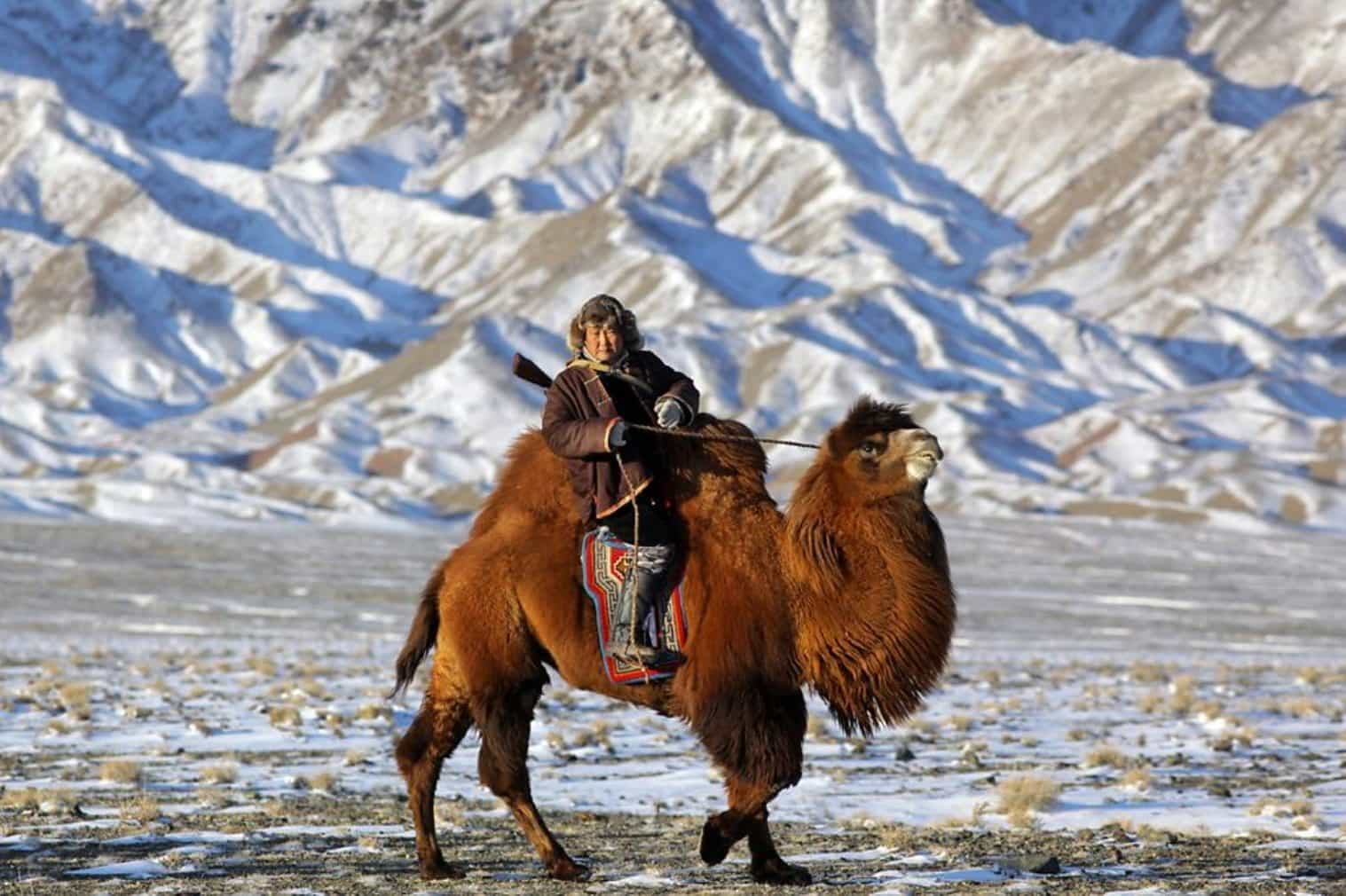 Deserto Gobi Mongólia 