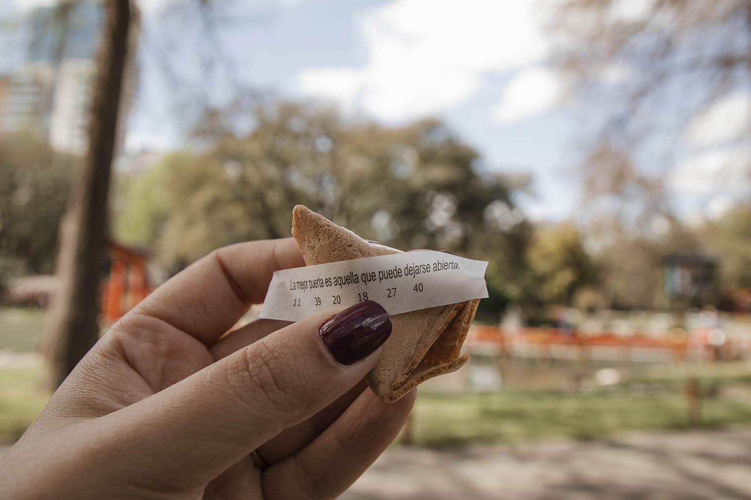 Comida tradicional Japonesa Buenos Aires