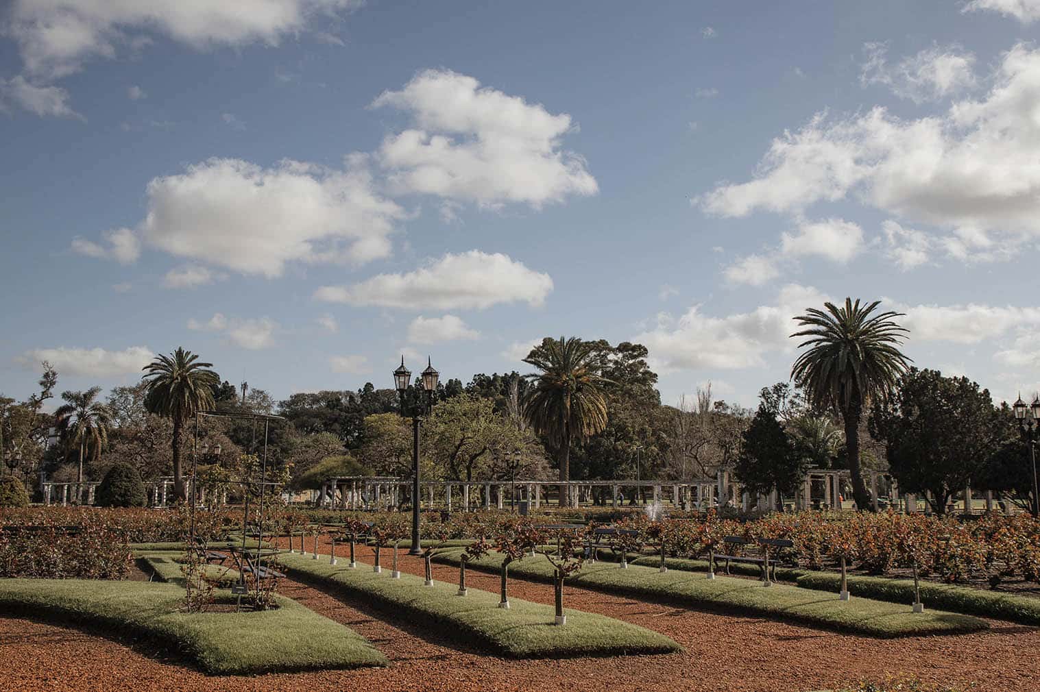 Parque com rosas em Buenos Aires