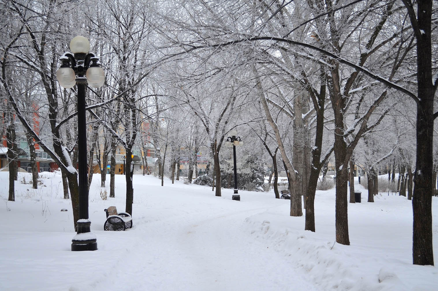 Winnipeg Canadá