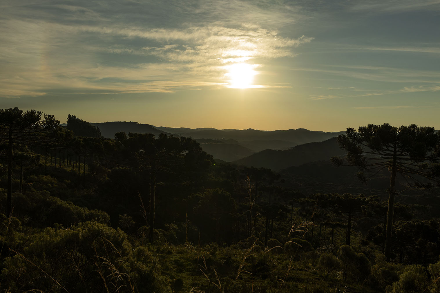 bom jardim da serra santa catarina