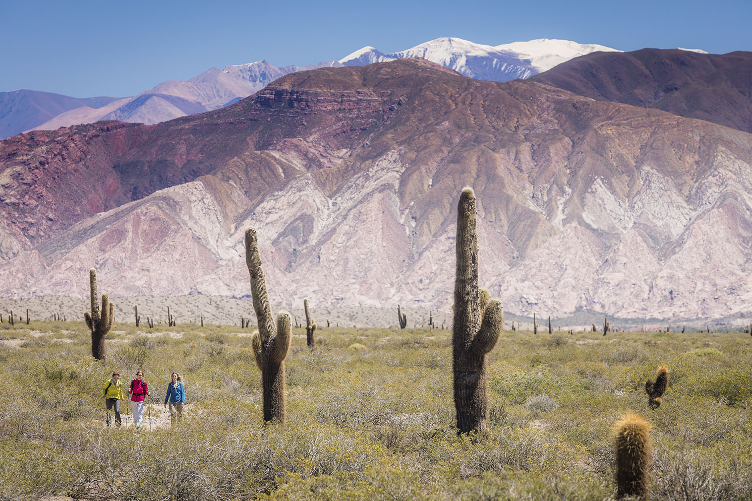 parque nacional los cardones argentina