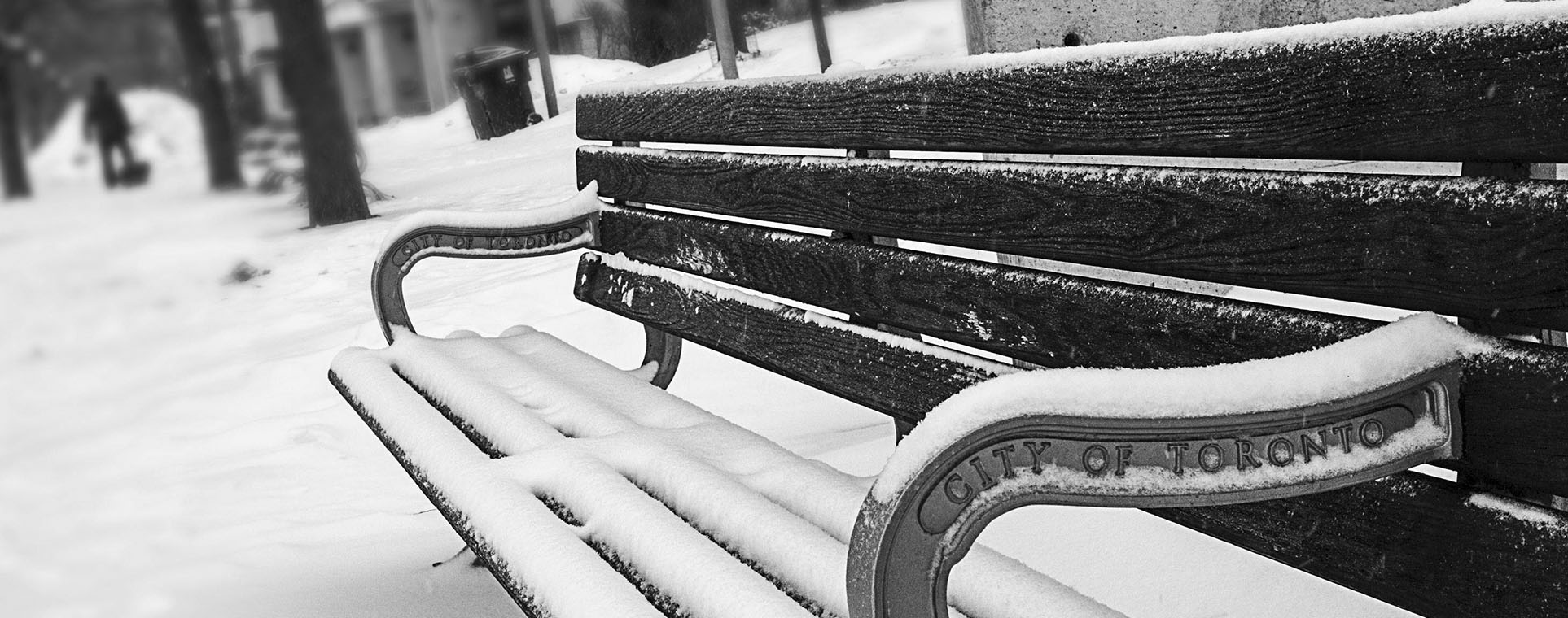 neve em toronto 2025