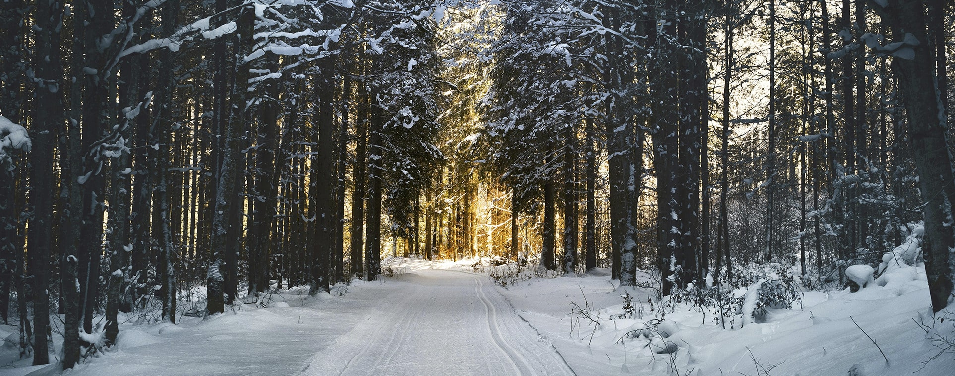 Inverno 2025 Hemisfério Norte