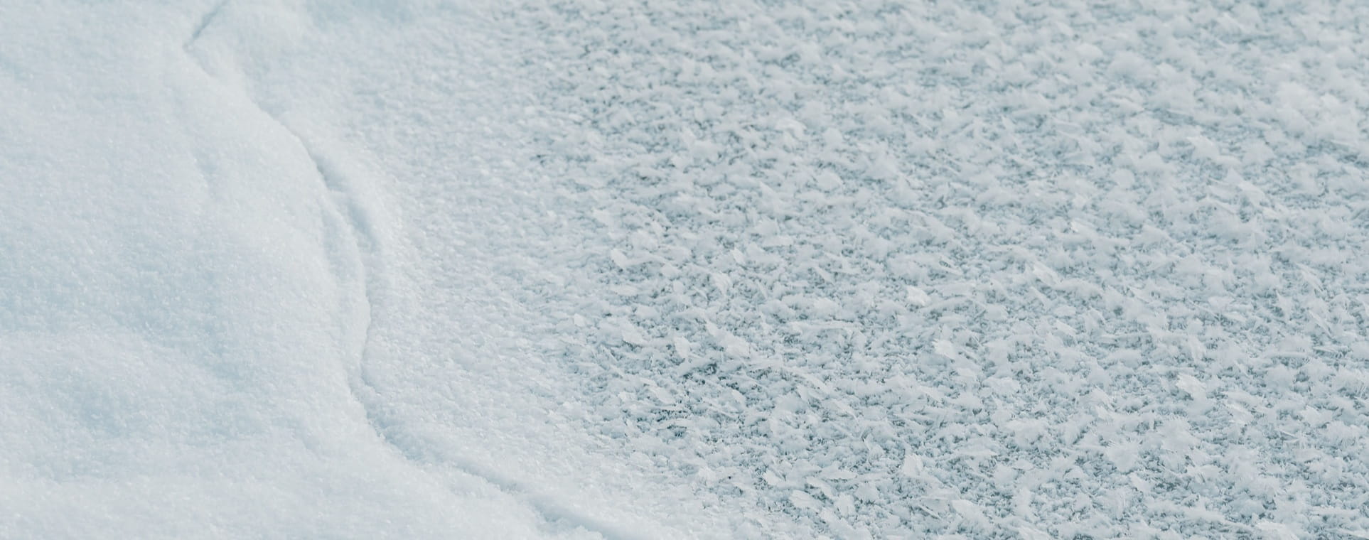 neve 2026