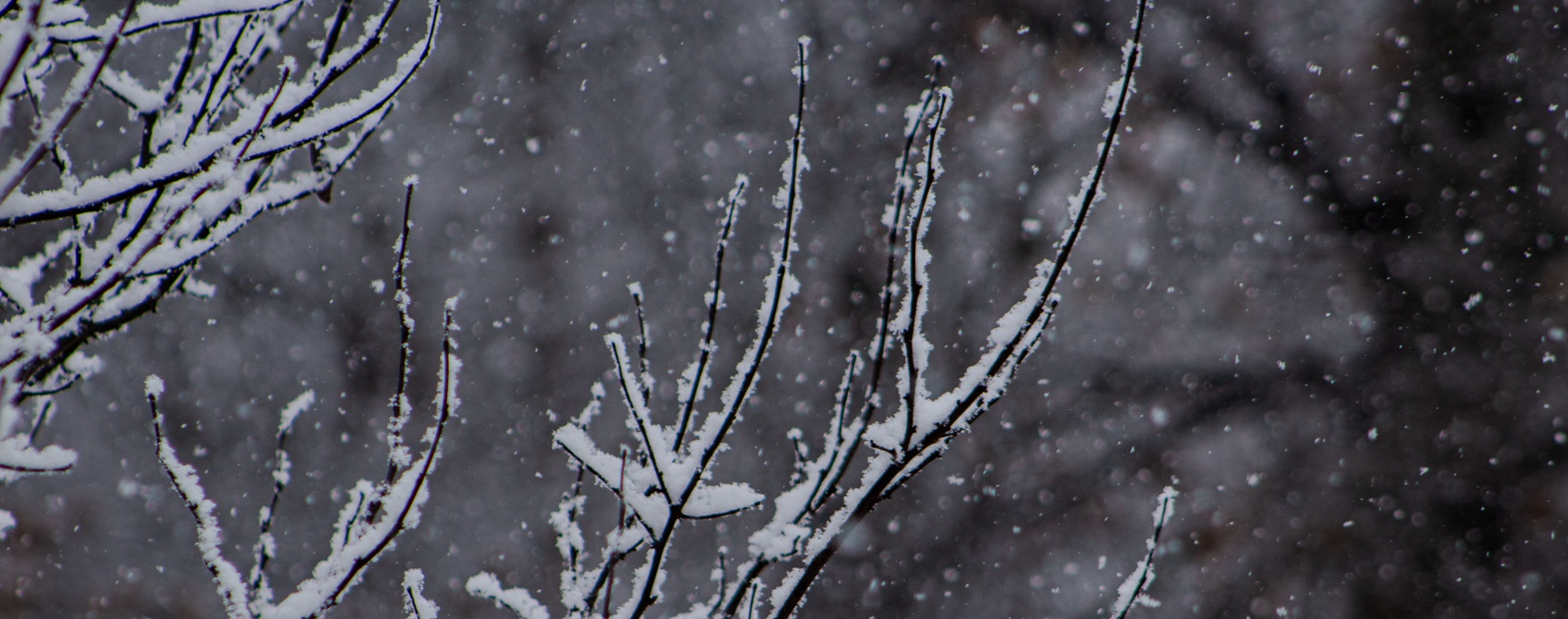 neve em ohio estados unidos